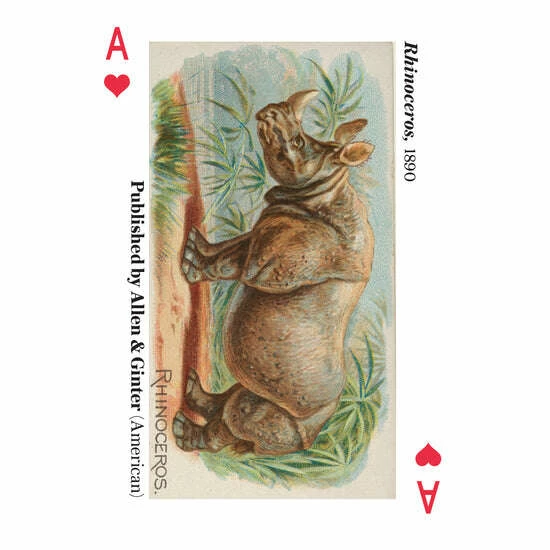 Other Animals Of The Met Playing Cards USPCC - Image 3