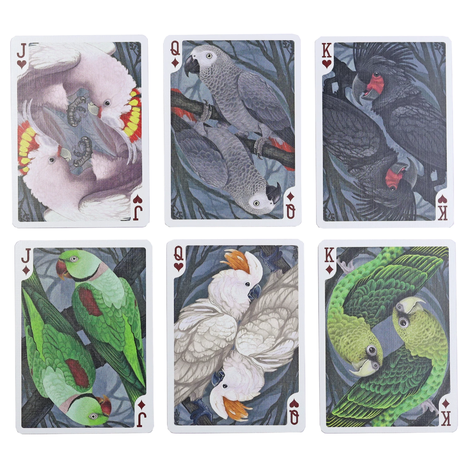 Parrot Bicycle Playing Cards - Image 6