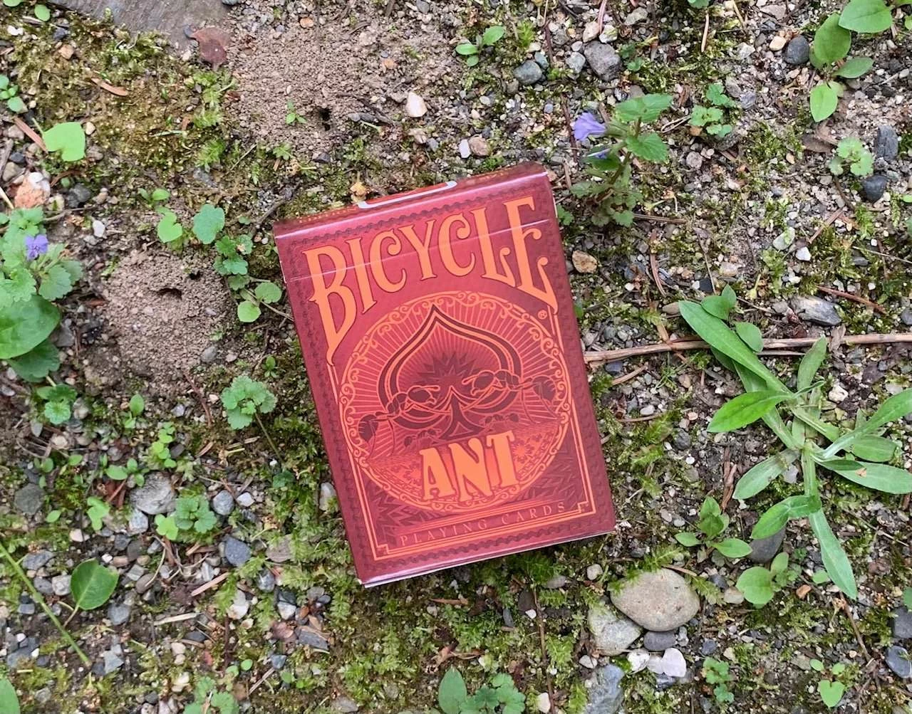 Ant Gilded Bicycle Playing Cards - Image 7