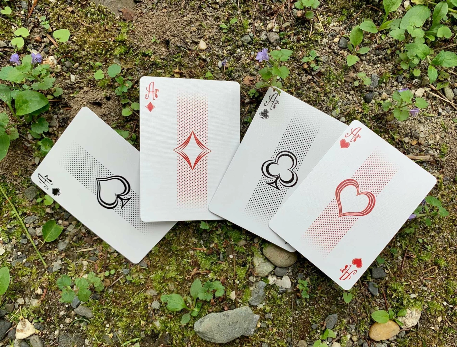 Ant Gilded Bicycle Playing Cards - Image 10