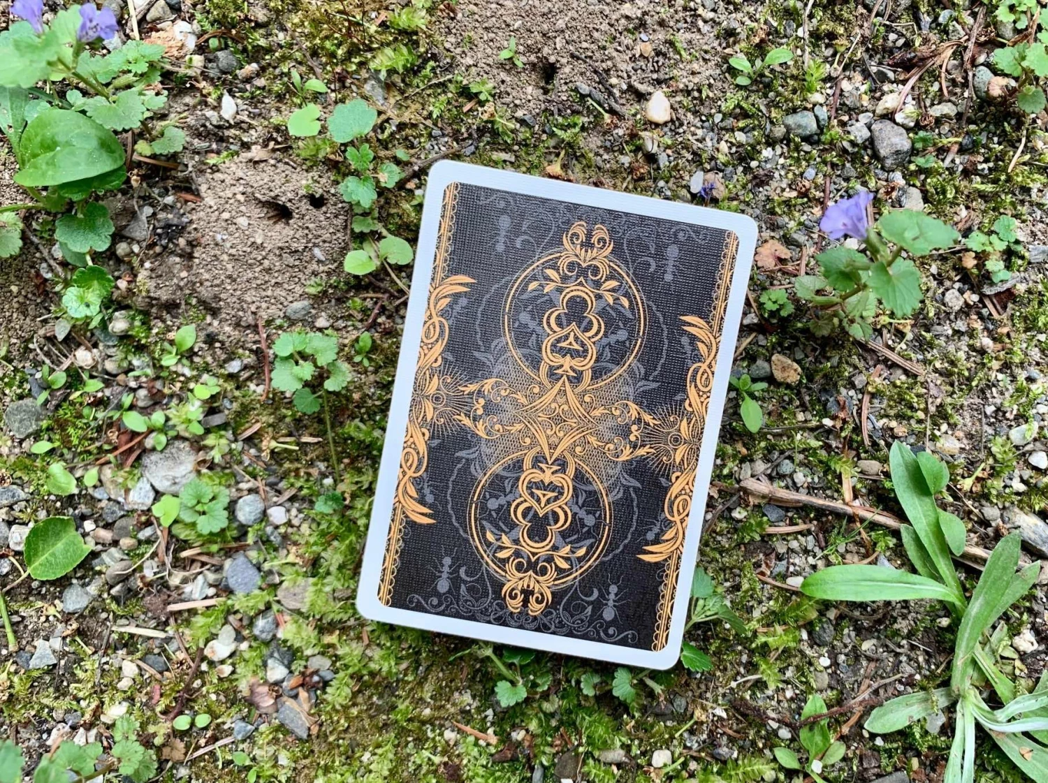 Ant Gilded Bicycle Playing Cards - Image 16