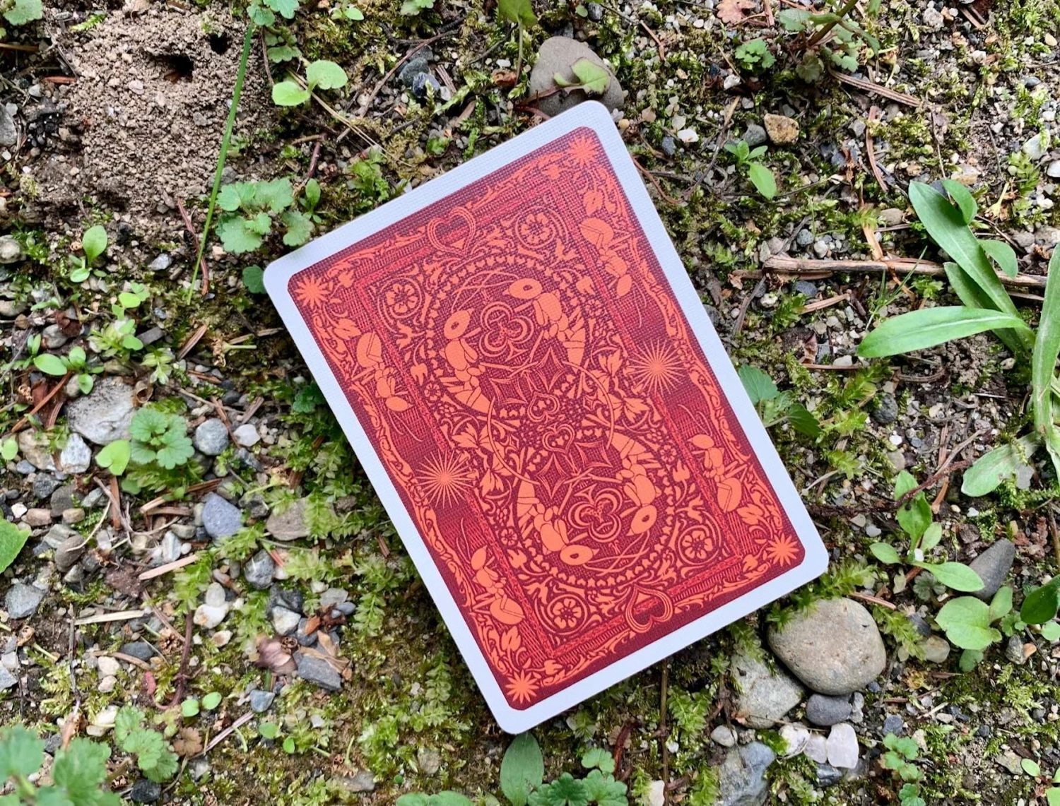 Ant Gilded Bicycle Playing Cards - Image 17