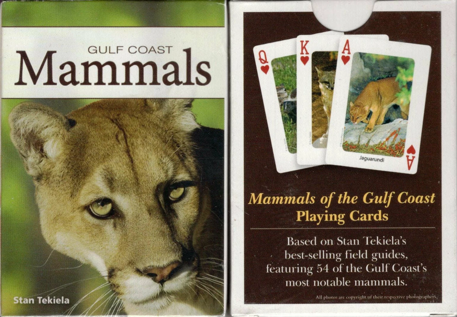 Other Gulf Coast Mammals Playing Cards
