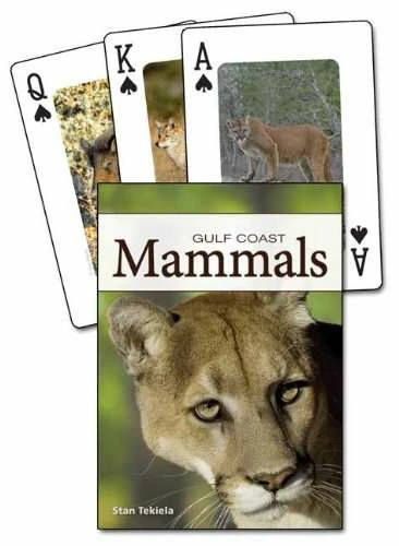 Other Gulf Coast Mammals Playing Cards - Image 2