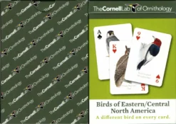 Birds Of Eastern / Central North America Playing Cards NYPC