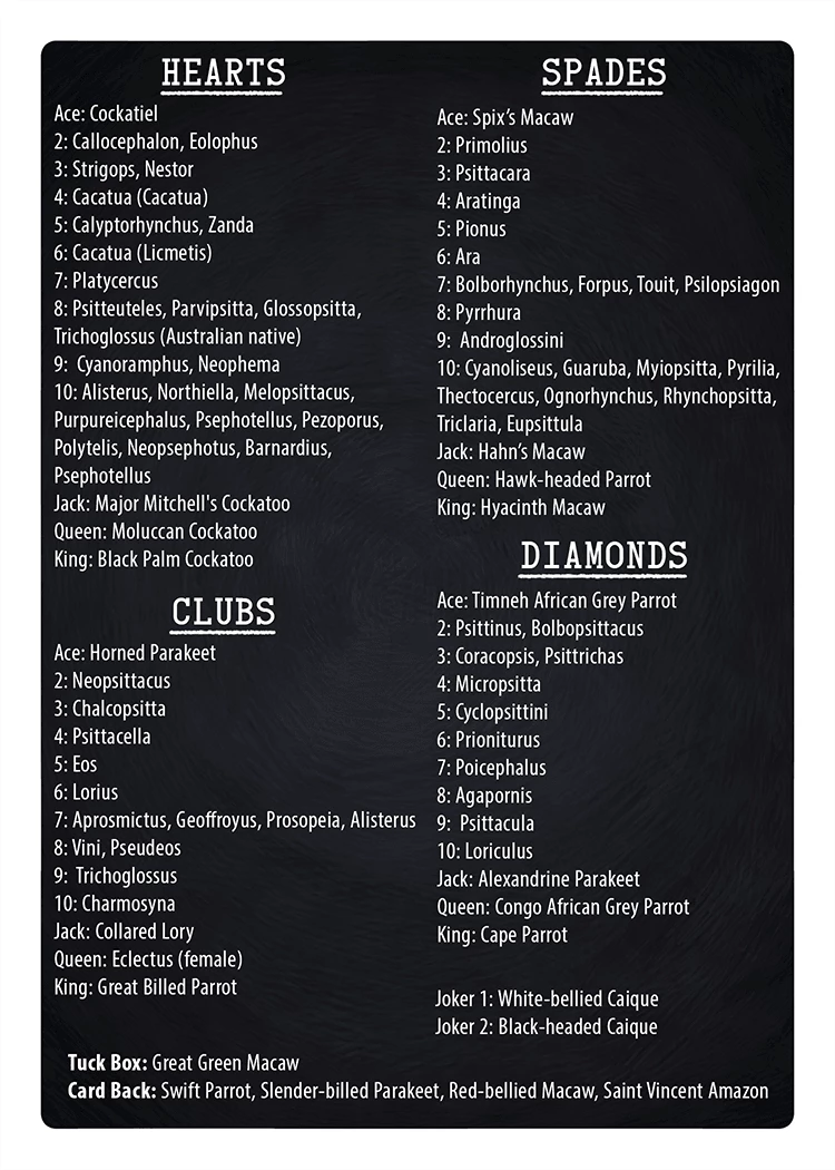 Parrot Bicycle Playing Cards - Image 9