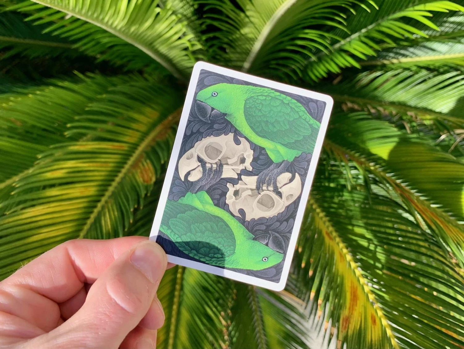 Parrot Extinct Gilded Bicycle Playing Cards - Image 8